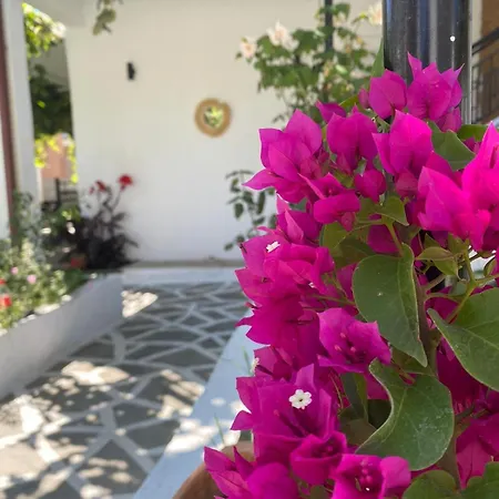 Holiday home Luna Nera